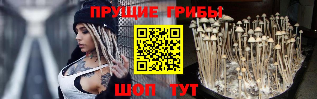 Галлюциногенные грибы MAGIC MUSHROOMS  Вход с VPN  Елизово 